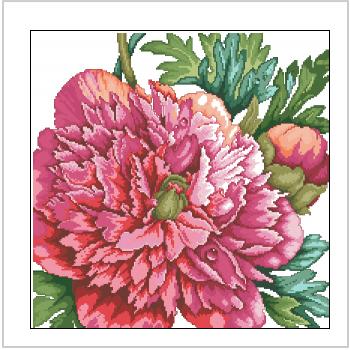 Схема вышивки "Barbara Baatz Peony Pillow"