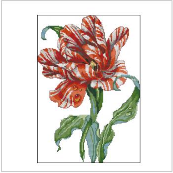 Схема вышивки "Janlynn Striped Parrot Tulip"