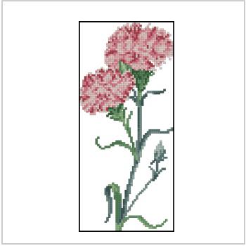 Схема вышивки "TG Dianthus"