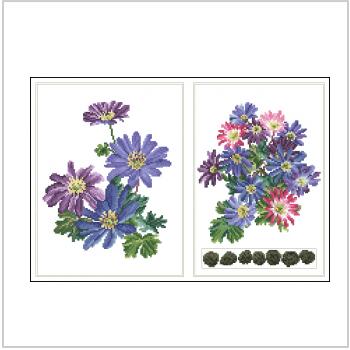 Схема вышивки "TG-445 Anemone blanda"