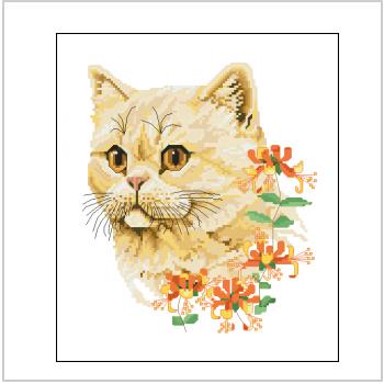 Схема вышивки крестом "The Exotic Shorthair - Summer Cat By Jayne Netley Mayhew"